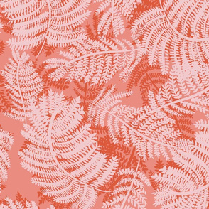 Coral pink ferns