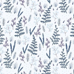 Pines, forest, leaves, purple, blue, winter, needles, delicate, nature