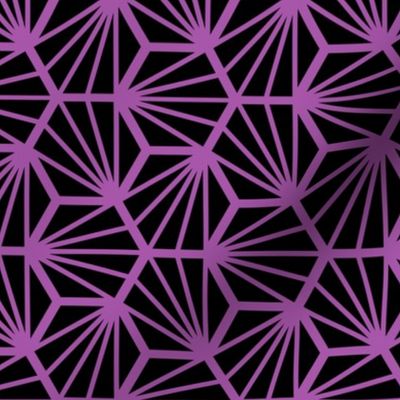 Geometric Pattern: Hexagon Ray: Black Purple