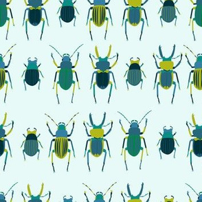 Beetles, stripes, green, blue, insects, nature