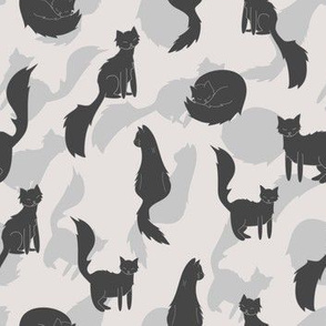 Cats, silhouettes, kitten, shadow, pets, cute