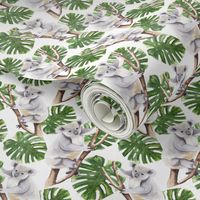 Koala Pattern White