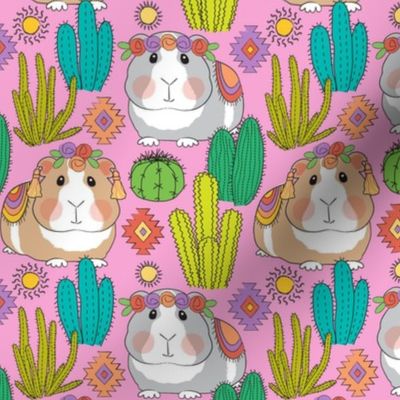 desert guinea pigs on hot pink