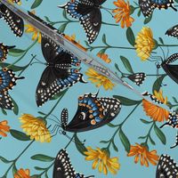 Black Swallowtails & Marigolds Sky Blue