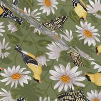 Goldfinches & White Asters