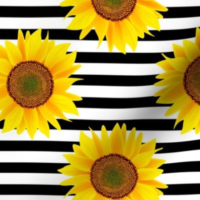 sunflowers on black lines patten