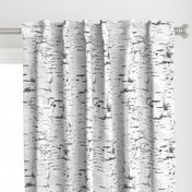 Birch bark Large scale