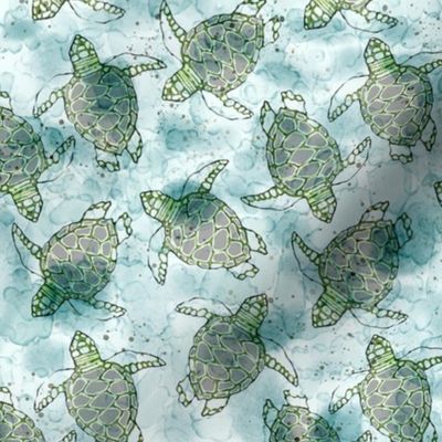 Baby Sea Turtles