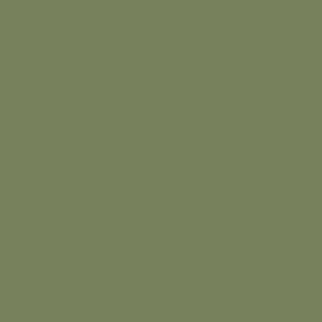 Solid Dark Sage Green (#77815c)