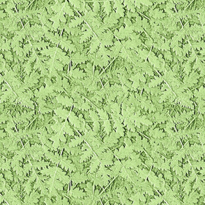 Woodland Ferns Embossed  Faux Textured Wallpaper