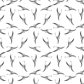 Pterodactyl Dinosaurs Pattern (Small Print Size)