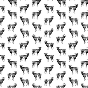 Vintage Goats Print Pattern (Small Print Size)