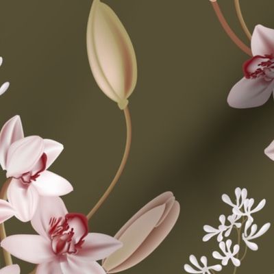 Green orchids background