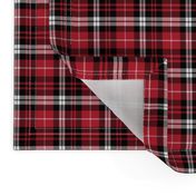 (micro scale) fall plaid || black red and white C20BS