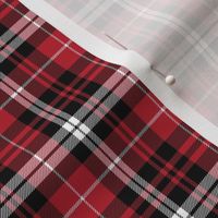 (micro scale) fall plaid || black red and white C20BS
