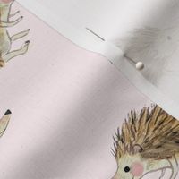 hedgehog and dandelion