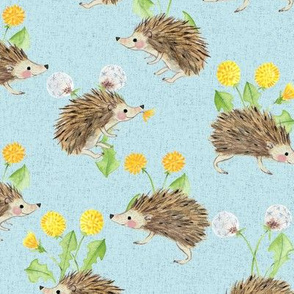 hedgehog and dandelion blue