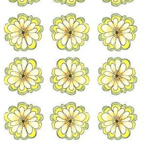 Yellow zinnias