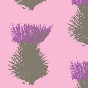 Large Thistle on pink
