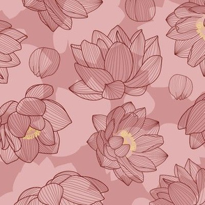 Lotus, flowers, leaves, nature, pink