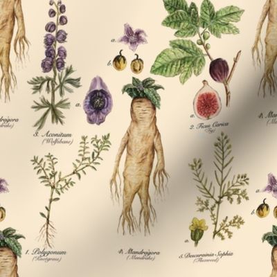 Herbology Mandrake Design