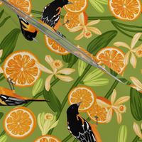 Birds & Oranges Green Background