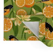 Birds & Oranges Green Background