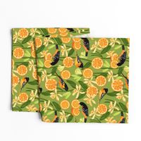 Birds & Oranges Green Background