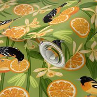 Birds & Oranges Green Background