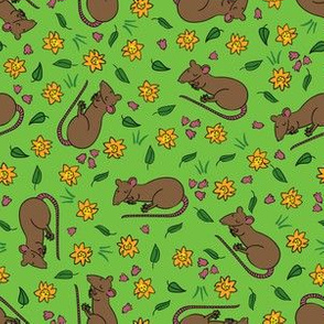 Sleeping floral rat -green