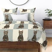 bengal cat 18 inch pillow panel