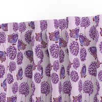 Allium & Butterflies Purple