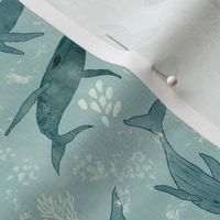 Magestic Whales - Small Scale