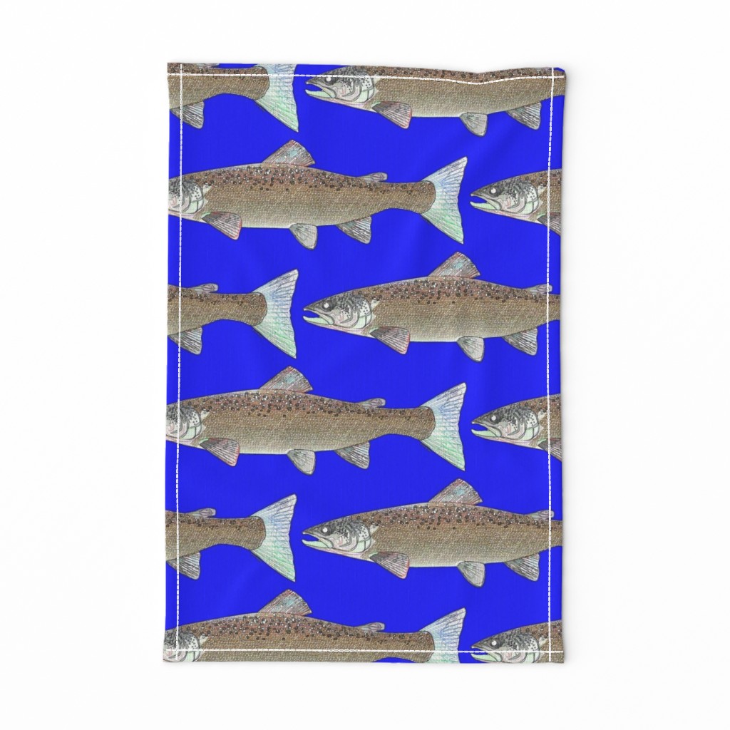 Atlantic Salmon line art on dark blue