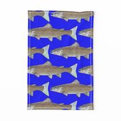Atlantic Salmon line art on dark blue