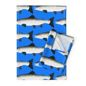 Atlantic Salmon on sea blue