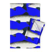 Atlantic Salmon life size on dark blue