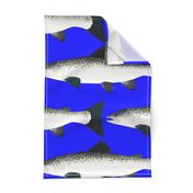 Atlantic Salmon life size on dark blue