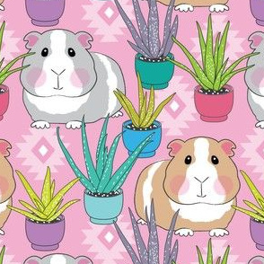 guinea pigs and succulents on pink