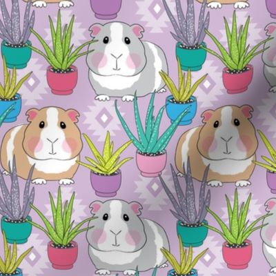 guinea pigs and succulents on lavender