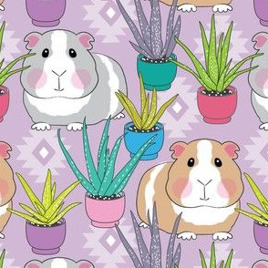 guinea pigs and succulents on lavender