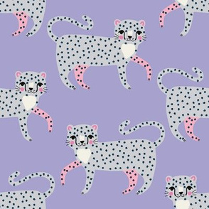 cheetahs on purple