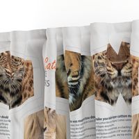 Wild Cats Cut & Sew Face Masks - lions, tiger, cougar, panther