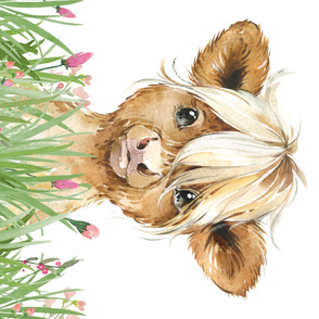 42x36" baby highland cow with grass and flowers 