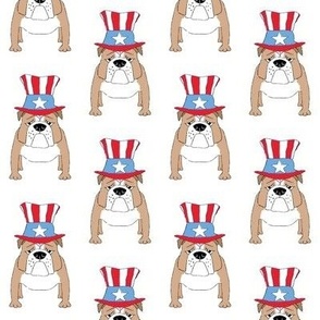 americana bulldogs