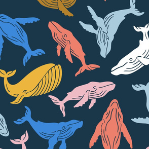 Colorful whales. ( large scale)