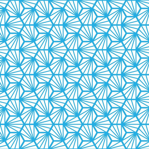 Geometric Pattern: Hexagon Ray: White Blue