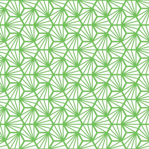 Geometric Pattern: Hexagon Ray: White Green