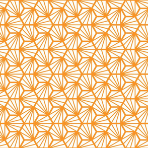 Geometric Pattern: Hexagon Ray: White Orange
