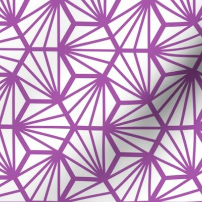 Geometric Pattern: Hexagon Ray: White Purple